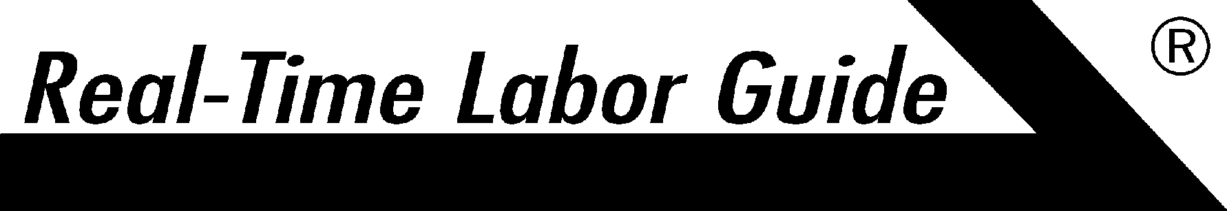 Auto repair software labor guide